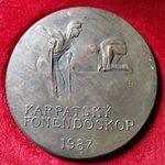 Karpatský fonendoskop