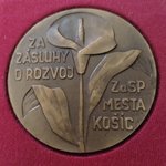 Za zásluhy o rozvoj Košíc
